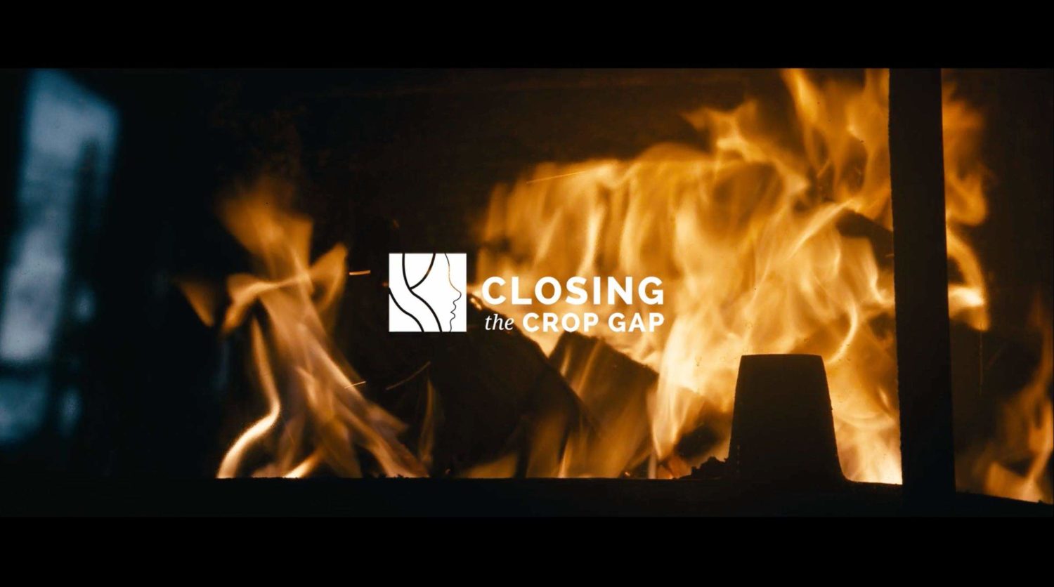 Closing The Crop Gap Documentary Film Campaign Poster