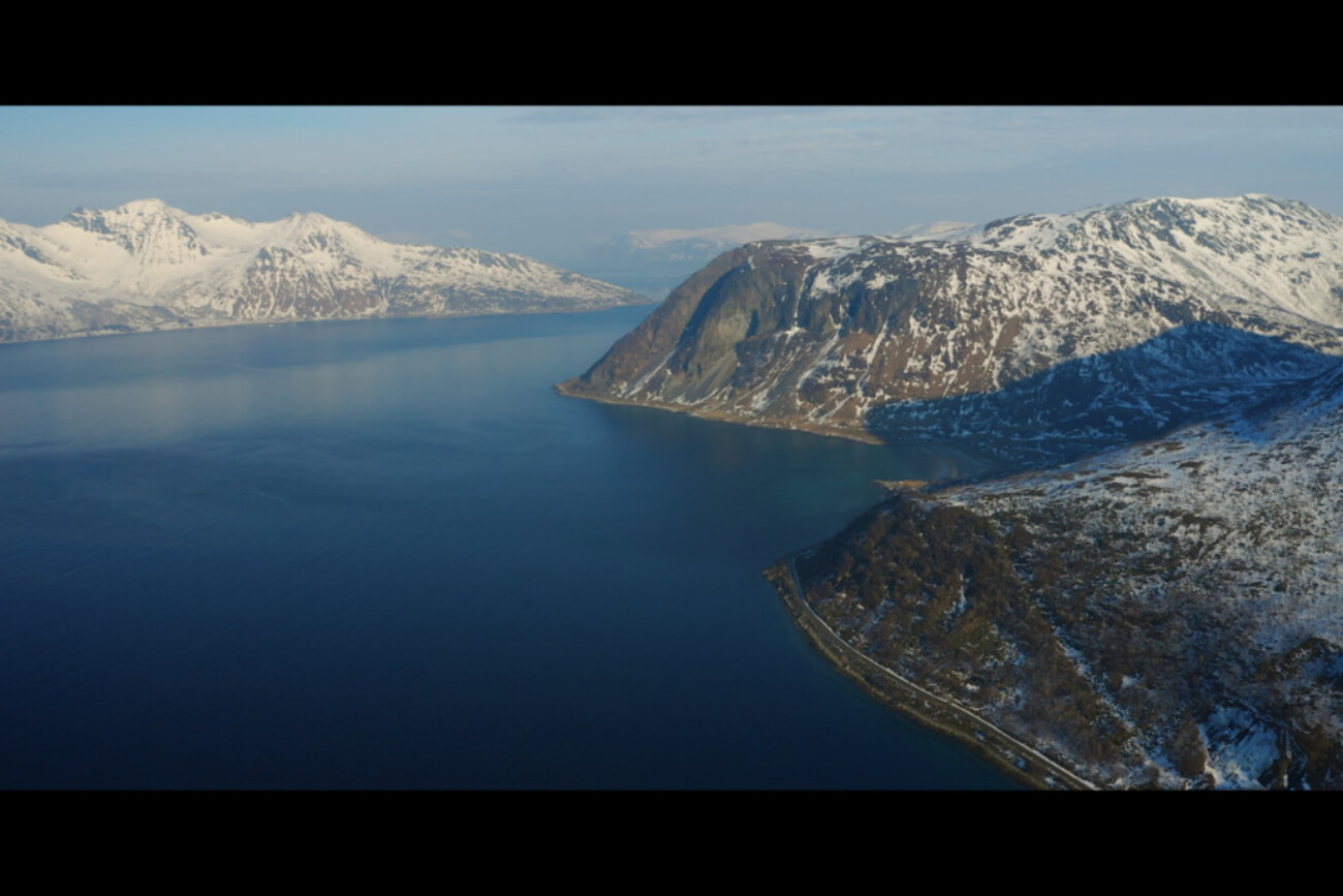 Film_Dokumentalny_Maybe_The_Foot_1